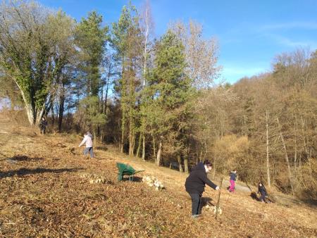 Delovna akcija Soncki 5